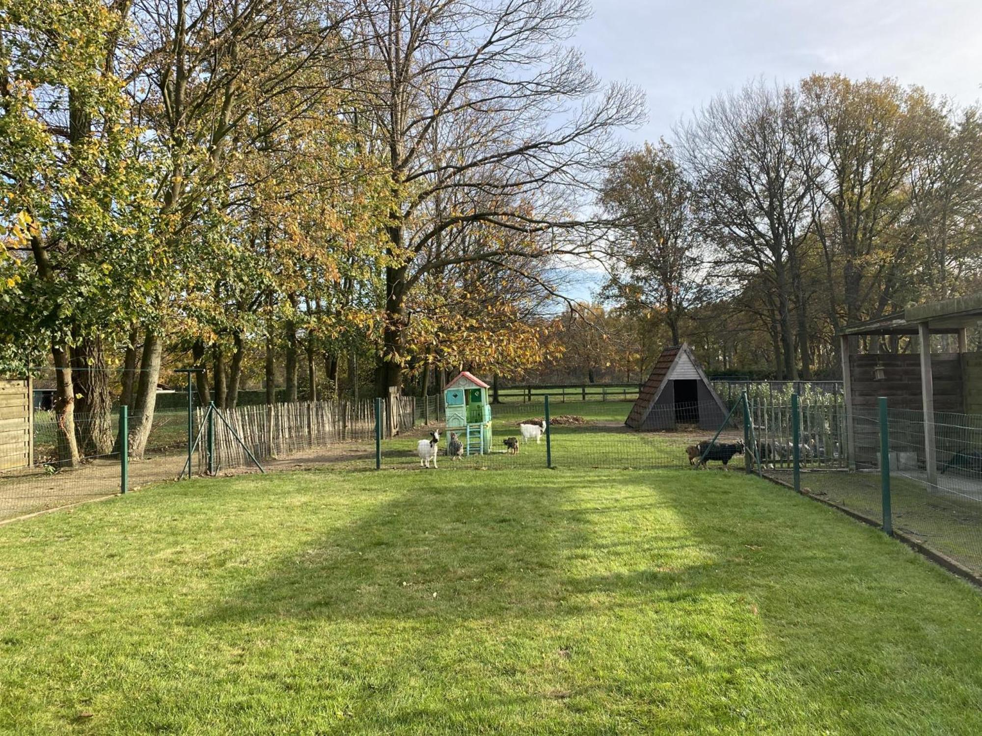 Het Bruegelhof Villa Peer Exterior foto